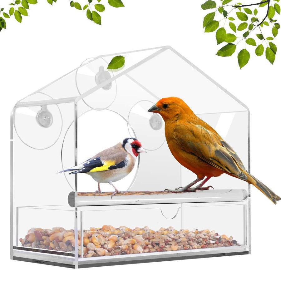 Transparent Tray for Pet Birds, Easy Suction Cup Installation